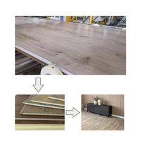 Extrudeuse de plancher PVC spc environnement intérieur avec double équipe parallèle ou double équipe conique