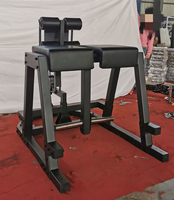 Chaise romaine d'entraînement musculaire complète multi-angle chargée par plaque de Machine d'hyper extension inverse de forme physique de gymnase commerciale