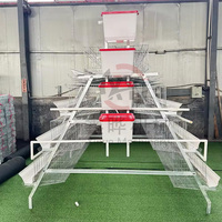 Cage à poulets en treillis métallique galvanisé à 3/4 niveaux, type batterie, pour 3000 oiseaux, avec cadre métallique