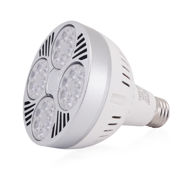 Quick Shipping PAR30 20w 25w 35W 40w Led Bulb 6000K Cool White