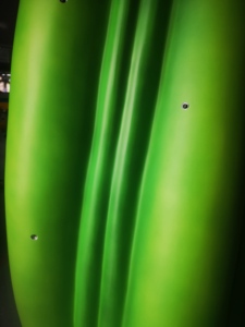 Giảm Giá Cây Leo Tường Vui Nhộn! 18 Năm Kinh Nghiệm Nhà Sản Xuất - Product Image 3