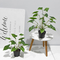 Bonsai Sutera Buatan Kecil Scindapsus Ivy Epipremnum Aureum Green Pothos 40cm Hiasan Meja Dekorasi Rumah Pernikahan Natal