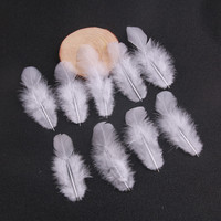 Plumes de coq courtes teintes en vrac Hongxiang, sélectionnées de qualité supérieure pour la fabrication de bijoux et la décoration de fêtes