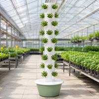 Tour de culture hydroponique verticale pour l'intérieur et l'extérieur, système d'agriculture verticale pour la maison, le balcon et la serre, tour hydroponique à 9 niveaux