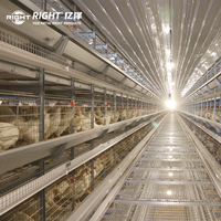 Cage à poules pondeuses de type A pour ferme philippine, capacité 3000 oiseaux, conception renforcée anti-typhon, galvanisée à chaud, 4 niveaux