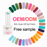 Kit de vernis à ongles en gel personnalisé sans HEMA ni TPO, kit de vernis à ongles en gel UV, OEM ODM, marque privée, vente en gros pour salons de manucure et distributeurs