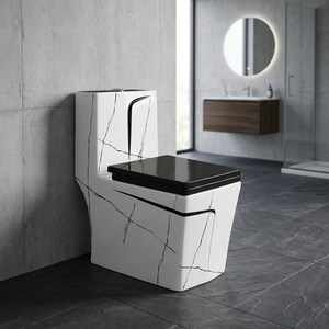 Série Décorative – WC monobloc en céramique indienne allongé avec chasse d'eau et siège bidet intégré - Product Image 6