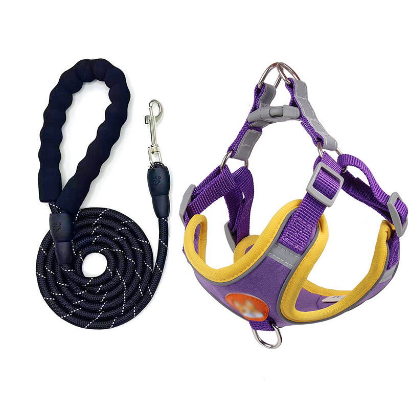 Corde ronde noire réfléchissante violette de 2 mètres