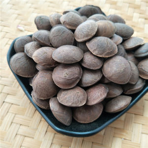 หยินเจียกั๋ว ขายส่งซาชาอินชีออร์แกนิกแห้ง (Plukenetia Volubilis) สำหรับทำน้ำมัน - Product Image 5