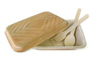 Platos de hoja de areca desechables de primera calidad y platos de patrón de plantas ecológicos para cuencos y platos de camping - Product Image 1