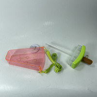 Bouteille d'eau portable anti-chute en forme de sucette glacée, en plastique PC, avec motif pastèque et paille, idéale pour le camping