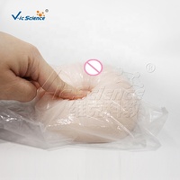 Modelo de Seno Femenino de Silicona con Areola, para Entrenamiento de Masaje de Lactancia, para Consultores de Lactancia, con Certificaciones CE/ISO/ROHS/CNAS