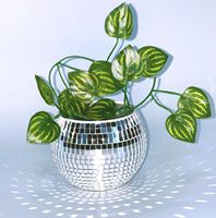 6 pouces argent Disco Ball planteur macramé cintre acrylique support auto-arrosage Insert Unique Disco Decor valeur paquet comprend