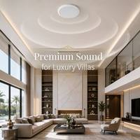 Altavoz de Techo Wi-Fi, Apto para Apartamentos, Oficinas, Bares y Tiendas, Rejilla Magnética, Conexión Bluetooth Personalizable, HDMI