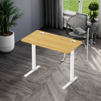 Bureau en bambou TOP assis et debout électrique bureau réglable en hauteur bureau en bambou dessus de table en bambou bureau en bambou