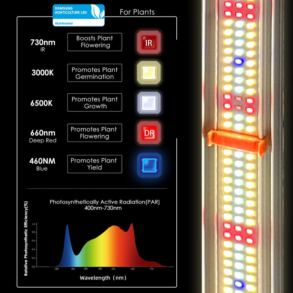 800W Redfarm LED Grow Light - Full Spectrum for Greenhouse