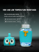 Gobelet en verre borosilicate haute qualité avec couvercle en silicone anti-fuite, grande capacité, personnalisable, motif hibou mignon, apprécié des enfants, personnalisation d'usine