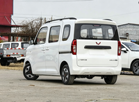 Wuling Zhiguang Nueva Energía 2025 305km Vehículo de Nueva Energía Avanzado Minivan para Transporte Urbano, Pasajeros y Uso Familiar en Viajes Urbanos
