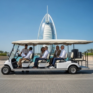 Voiturette de <span class=keywords><strong>golf</strong></span> électrique Holladay 72V avec une autonomie de 90 km, boîte de chargement utilitaire, fonctionnalités de tourisme - Product Image 5