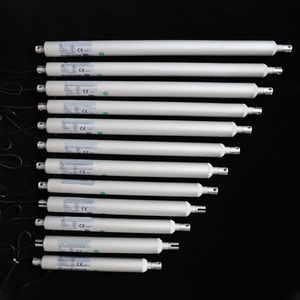 Actuador Lineal Tipo Pluma OEM Bibo Factory TA-01-33 de 600mm con Varilla de Empuje 12/24V - Product Image 4