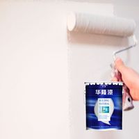 Peinture murale intérieure blanche Hualong de haute qualité, laquée brillante ou mate, idéale pour l'application de revêtements.