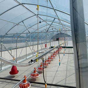 โรงเรือนเลี้ยงไก่เคลื่อนที่แบบใหม่สำหรับฟาร์ม พร้อมการรับประกันหนึ่งปี ออสเตรเลีย - Product Image 1