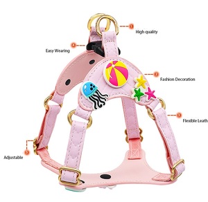 Fabbrica fatta di alta qualità materiale in pelle su misura alla moda per animali domestici gatto cane imbracatura collare guinzaglio con ciondoli - Product Image 5