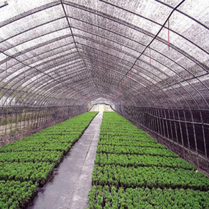 Résistant aux UV 60% filets d'ombrage noirs parasol serre filet jardin ombre tissu rouleaux pour l'agriculture - Product Image 6