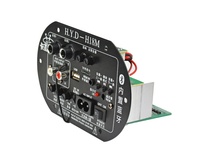 Carte d'amplification mono pour subwoofer, amplificateur Bluetooth K Song à double microphone 30-150W pour haut-parleur 6-10 pouces 220V 12V 24V