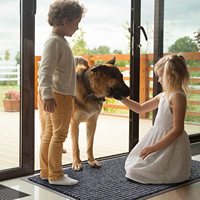 Tapis de bienvenue antidérapant, paillasson d'entrée personnalisé en polyester à rayures côtelées, tapis de porte extérieur en PVC pour l'entrée de la maison, luxe