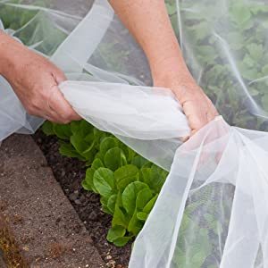 Giá Rẻ Giá Trắng Nông Nghiệp <span class=keywords><strong>Nylon</strong></span> Côn Trùng Net Ban Công/Chống Côn Trùng Net Cho Nhà Kính Bìa - Product Image 4