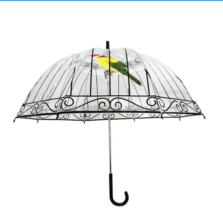 Birdcage umbrella transparent umbrella clear umbrella