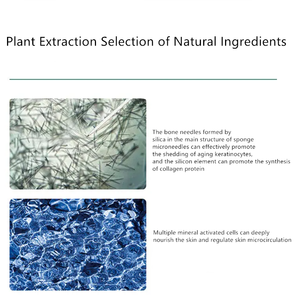 <span class=keywords><strong>Éponge</strong></span> à <span class=keywords><strong>micro</strong></span>-aiguilles en algues bleues pour la réparation de la peau du visage, éclaircissement, traitement cristallite, <span class=keywords><strong>éponge</strong></span> bleue Spongilla, <span class=keywords><strong>bio</strong></span>-<span class=keywords><strong>micro</strong></span>-traitement - Product Image 4