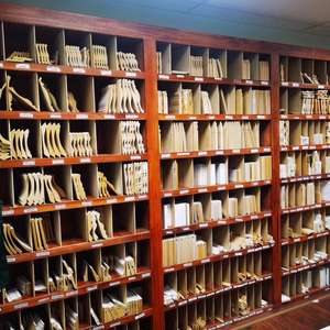 Vente en gros de plinthes en bois brut apprêté en pin ou sapin Moulures d'apprêt blanc Moulures de quart de cercle - Product Image 2