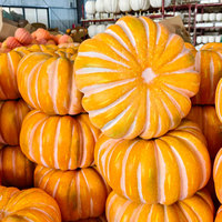 Articles décoratifs de ferme pour la fête des récoltes pour la véranda - Citrouille artificielle ronde plate en mousse orange