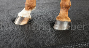Nouveaux <span class=keywords><strong>tapis</strong></span> <span class=keywords><strong>de</strong></span> <span class=keywords><strong>sol</strong></span> <span class=keywords><strong>pour</strong></span> écuries <span class=keywords><strong>de</strong></span> <span class=keywords><strong>chevaux</strong></span>, sur mesure, 40 mm, en caoutchouc et mousse composite, anti-déchirure, <span class=keywords><strong>pour</strong></span> l'élevage - Product Image 2