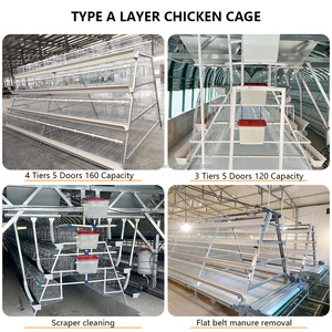 Jaulas <span class=keywords><strong>de</strong></span> Acero Galvanizado Tipo A para Gallinas Ponedoras, 3-4 Niveles, Capacidad para 96-160 Aves, Portátiles y Flexibles - Product Image 5