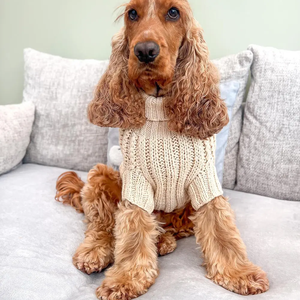 Modèle de tricot à la main <span class=keywords><strong>pour</strong></span> l'hiver, <span class=keywords><strong>crochet</strong></span> facile, pulls, cardigans, vêtements, tenues <span class=keywords><strong>pour</strong></span> chats, <span class=keywords><strong>manteau</strong></span>, vêtements chauds <span class=keywords><strong>pour</strong></span> animaux de compagnie <span class=keywords><strong>pour</strong></span> petits chiens - Product Image 5