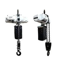 Haute qualité lumière peser monophasé Mini 110V/220V palan à chaîne électrique 250kg 500kg 1ton pour le levage de marchandises approvisionnement en usine