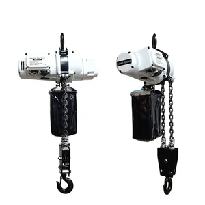 Lampu kualitas tinggi menimbang satu fase Mini 110V/220V rantai listrik <span class=keywords><strong>Hoist</strong></span> <span class=keywords><strong>250kg</strong></span> 500kg 1ton untuk mengangkat barang pasokan pabrik - Product Image 2