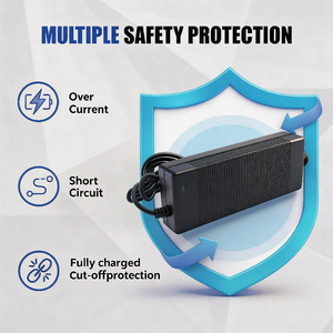 Cargador de Batería GSP de 14.2V 10A LiFePO4 para Batería de Litio Hierro Fosfato de 12V, Carga AC-DC - Product Image 3