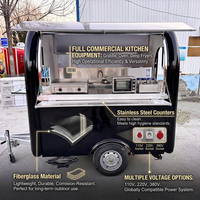 Gegalvaniseerde plaat cateringbar fruit mini formaat mobiele keukenbar ijsjes gepersonaliseerde mobiele kiosk hotdogkar voedseltrailer