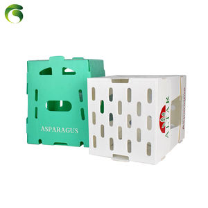 Caja de almacenamiento de fotos de plástico de polipropileno Diseño rectangular ligero plegable 210x185x140mm - Product Image 5