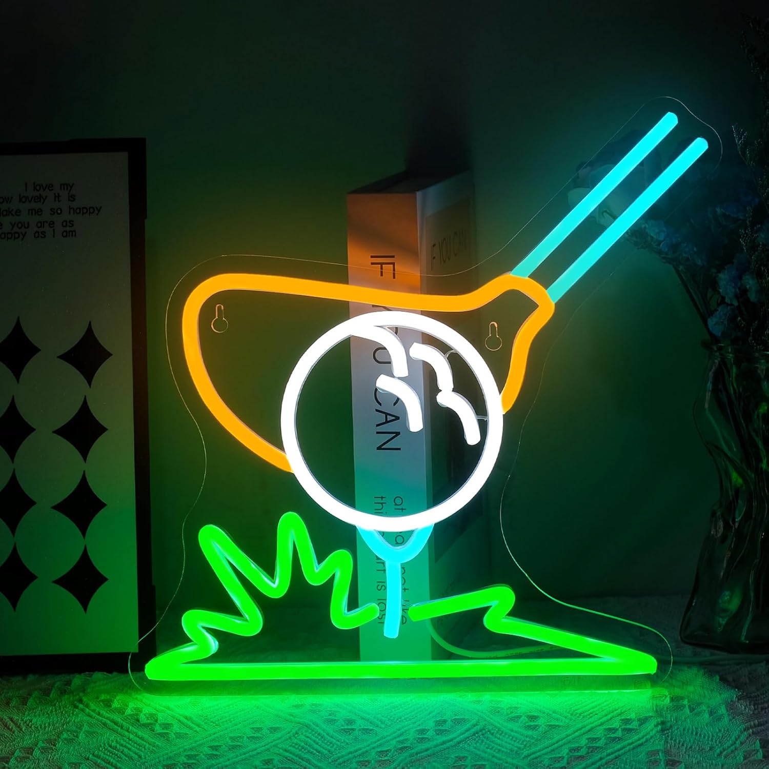 Image color 5V