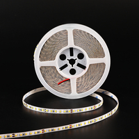 Bandes LED les plus populaires, blanc chaud et blanc froid, DC 24V 12V AMD 2835 8mm 120 LED, bandes lumineuses LED pour rétroéclairage TV