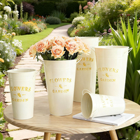 Pots à fleurs décoratifs, style minimaliste, simple, classique, en fer chromé, léger, durable, pour la maison, le mariage