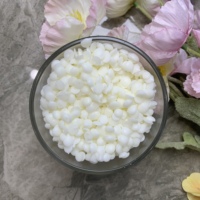 Diffuseur de parfum artisanal écologique personnalisé SICENCE en forme de flocon de cire de soja, parfum sur mesure, décoration d'intérieur pour Pâques et anniversaires