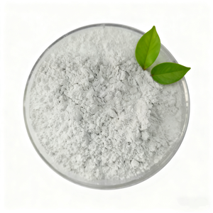 95% Polvo de Cal Hidratada de Grado Industrial para Tratamiento de Aguas Residuales - Product Image 5