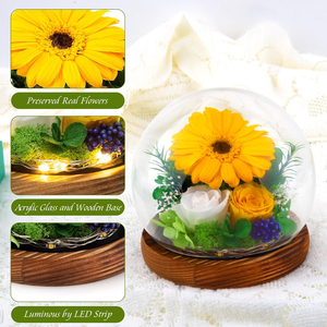 P-1 en gros véritable fleur de rose préservée dans un dôme en verre avec bande de LED cadeaux pour femme petite amie maman femme le jour de la Saint-Valentin - Product Image 5