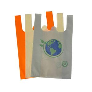 Hot Sale <b>Cheap</b> Reusable Customized Printed Tnt Non Woven <b>Bag</b> for Shopping - Product Image 1